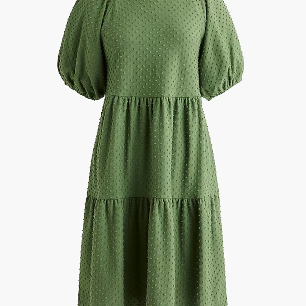 J. Crew Factory Clip-dot dress